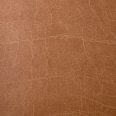 C-1905