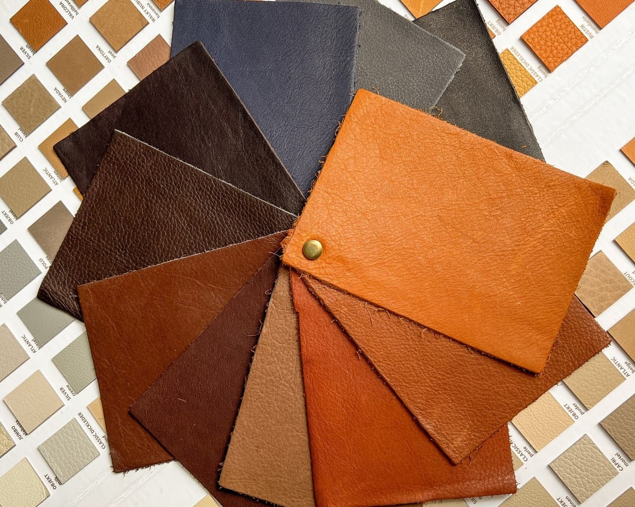 Aniline leather samples from Leder Fiedler