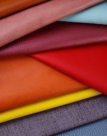 Leder Haus