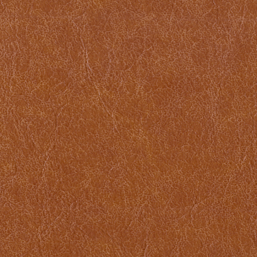 FCM-5113