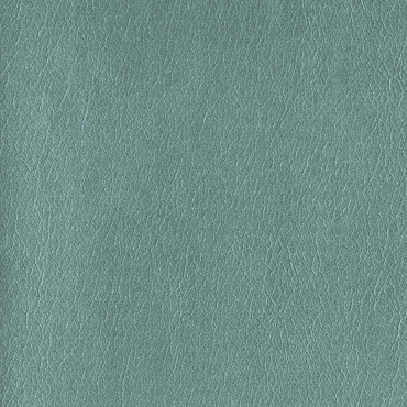 C-2005