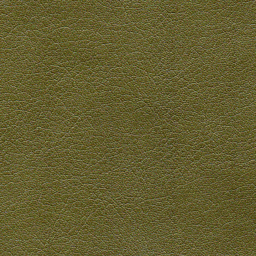 C-2008